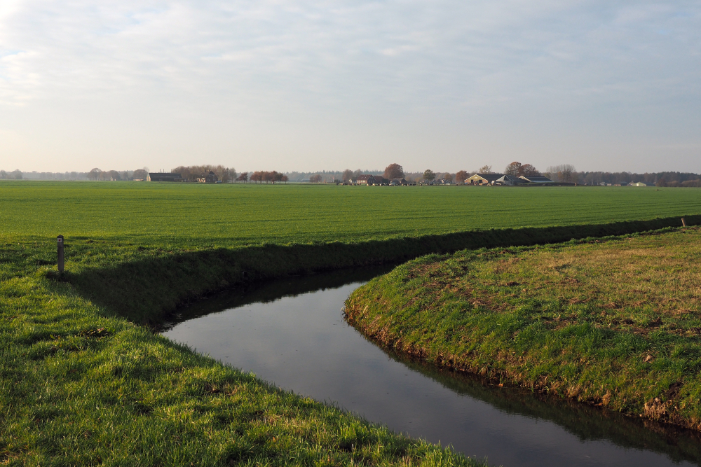 Ruilverkavelingslandschap het Hammerflier in de buurt van Den Ham, Nico Kloek