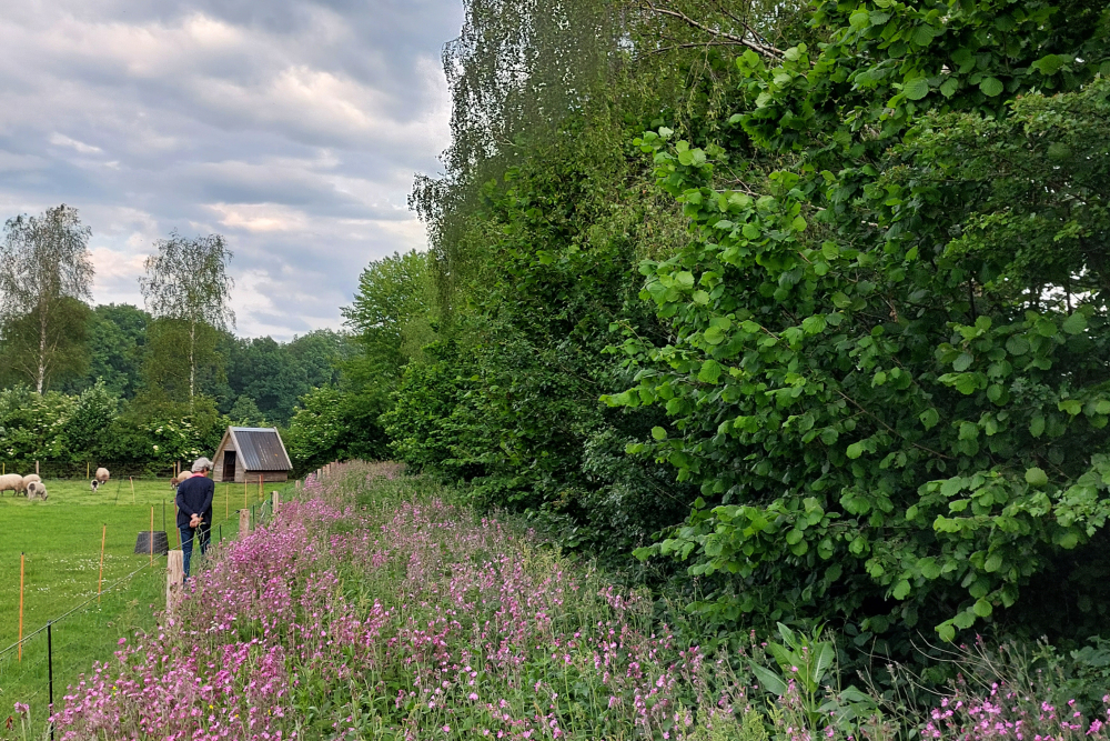 Houtwal en bloemenrand