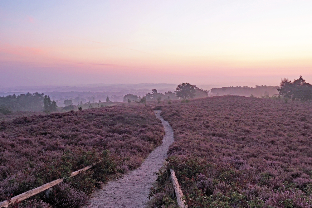 Lemelerberg-Nico Kloek