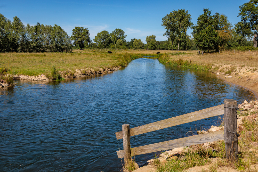 Regge bij Lee, Enter