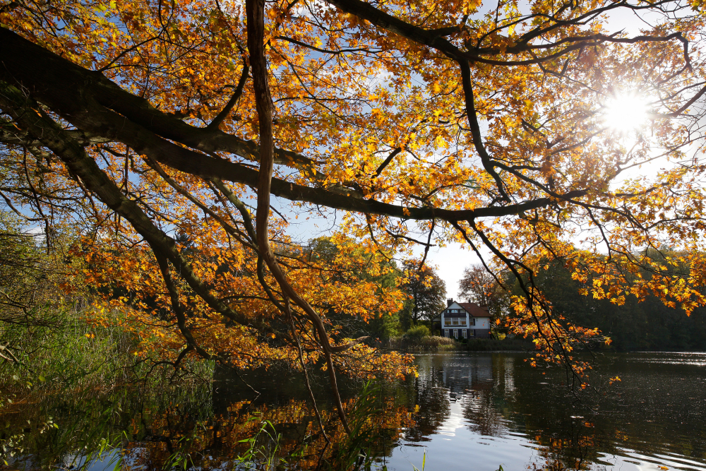 Landgoed Lonnekermeer