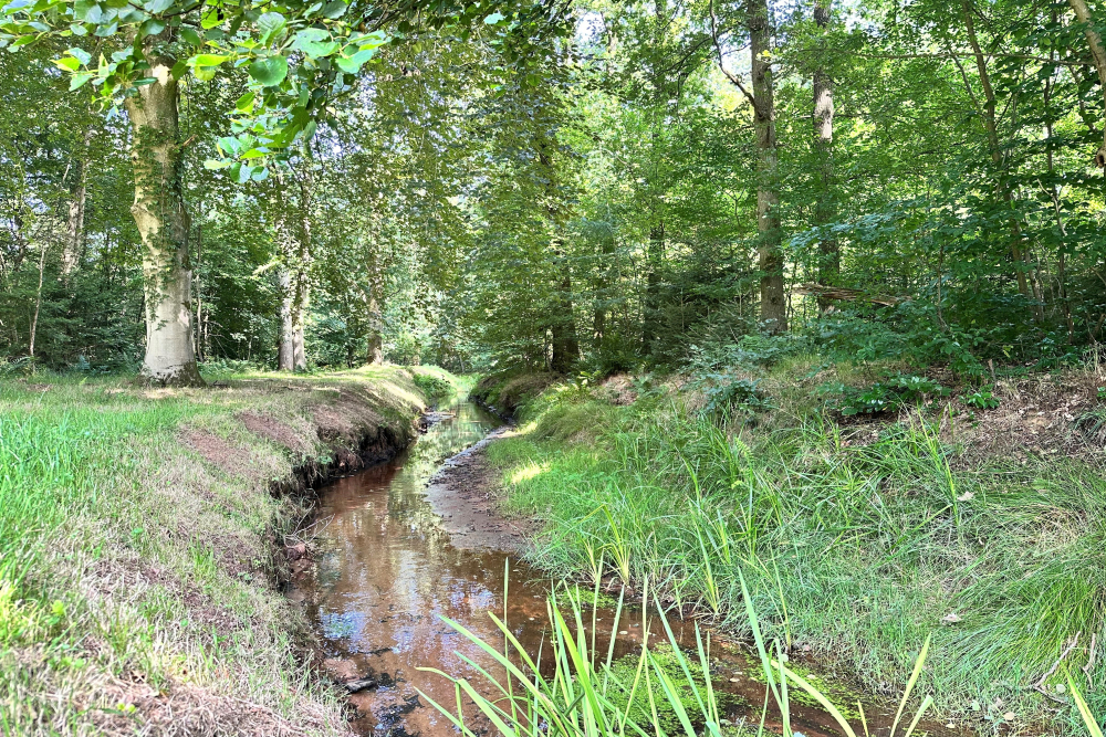 Het Oosterveld, Hesbeek