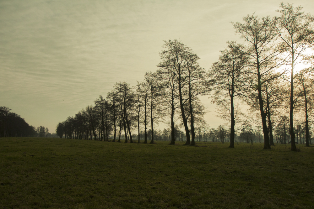 Elzensingel, Slagenlandschap