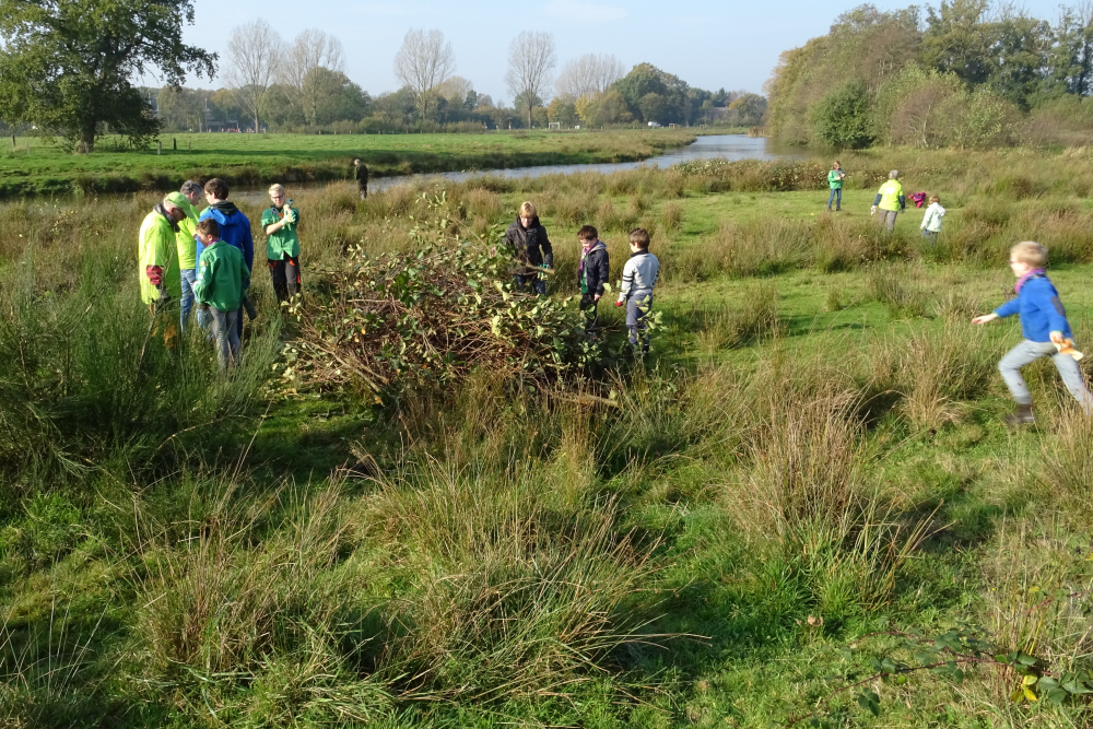 Natuurwerkgroep Regge 2017
