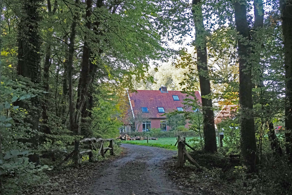 Landgoed 't Holthuis, huis