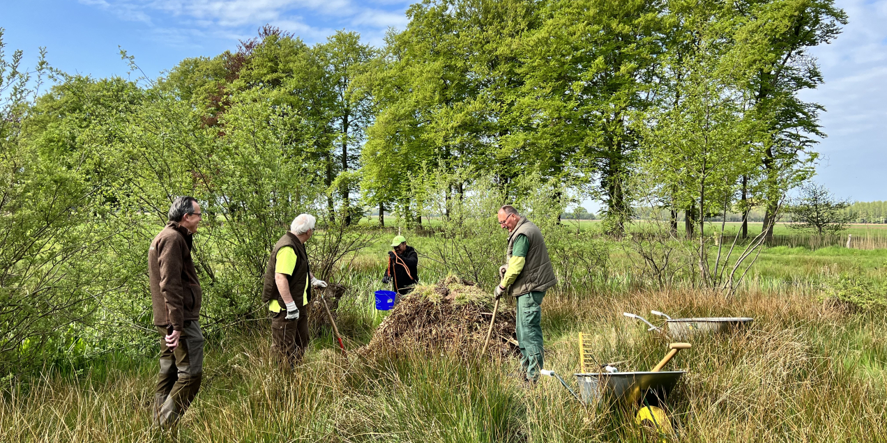 Broeihoop maken voor de ringslang