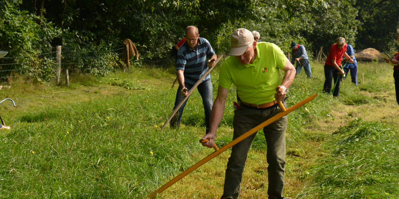NK maaien met de zeis 1 (6)