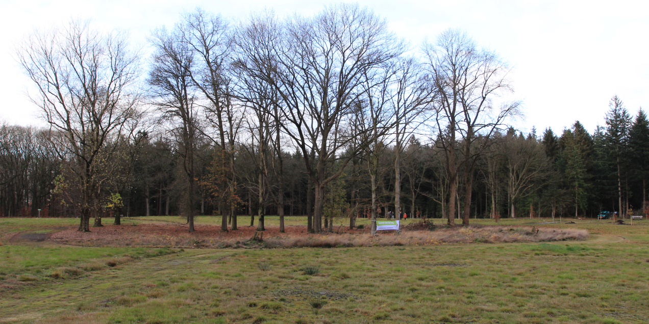 LO19927-Hans Kamerling