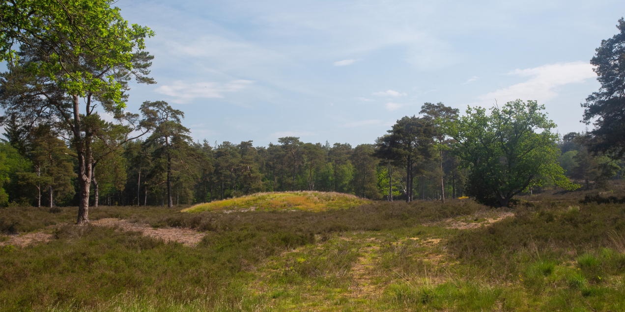grafheuvel en middeleeuws karrenspoor, Annie Keizer