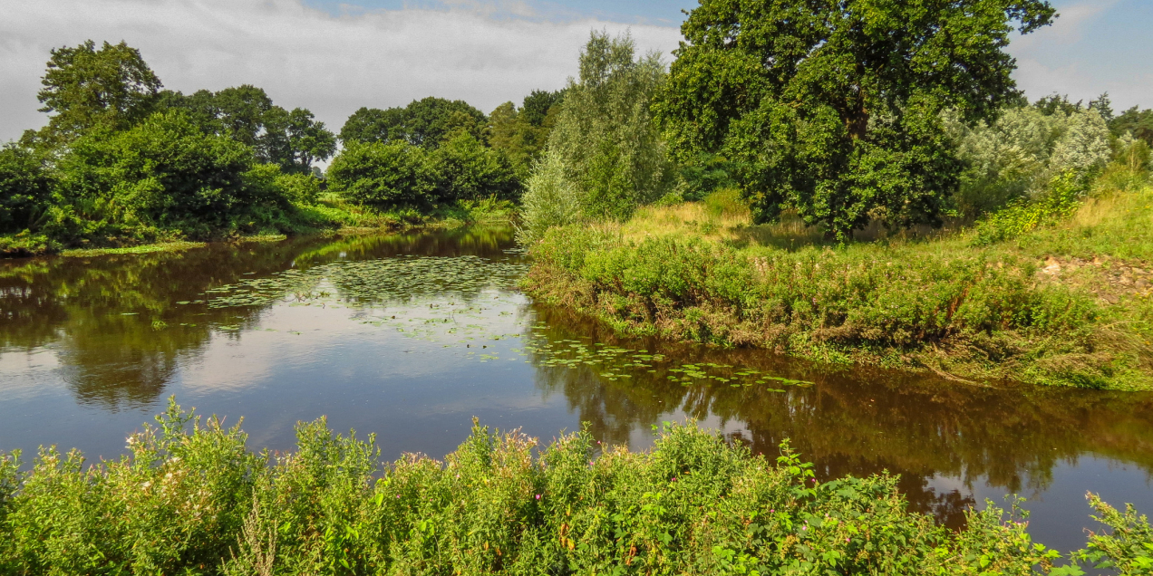 Regge Gonny Sleurink