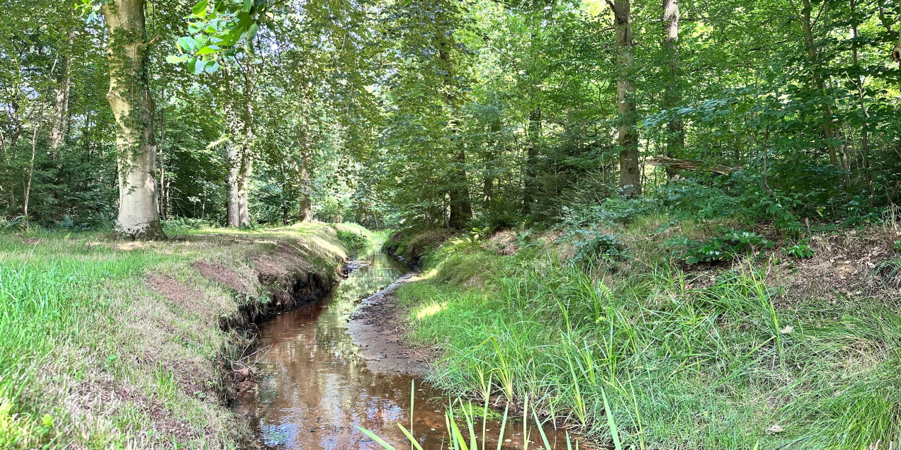 Oosterveld - hesbeek