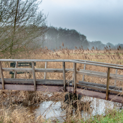 Bruggetje in het Reestdal