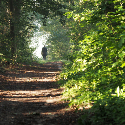 Wandelaar, Markelose Berg