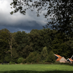 Natuur in Overijssel