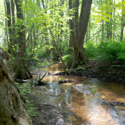 De Mosbeek, Gerard Berendsen