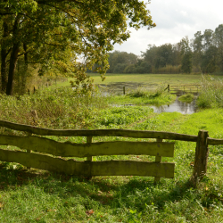 NKL Aamsveen herfst serie 2013 (2)