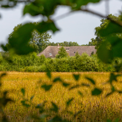 Oud Avereest, doorkijkje 