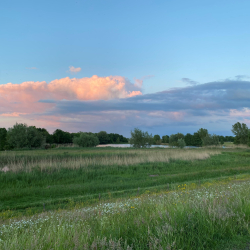 Struinwaard bij Berkum