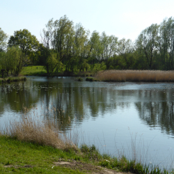 Buitenlanden Langenholte