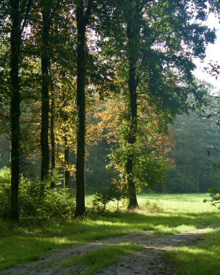 Oosterveld 1 - Mieke Scharloo