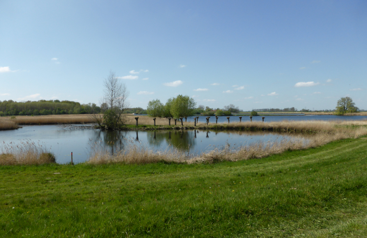 Buitenlanden Langenholte 