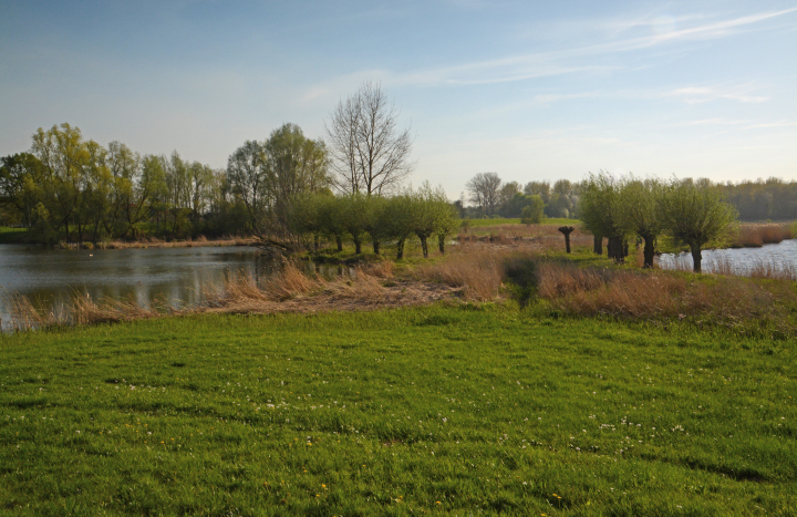 Buitenlanden Langenholte, Zwolle