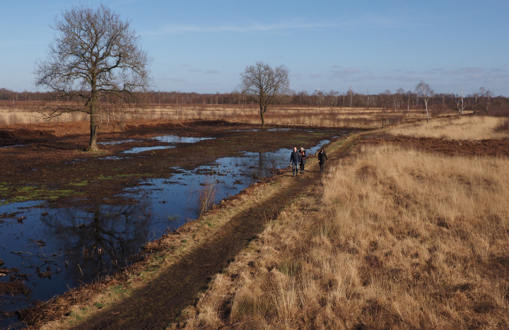 Hoog water in het Aamsveen