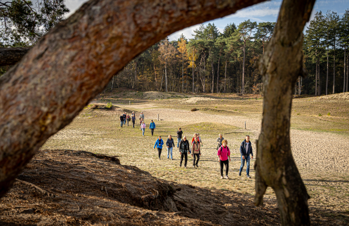 GS_ loop voor landschap 2025-61-Gonny Sleurink