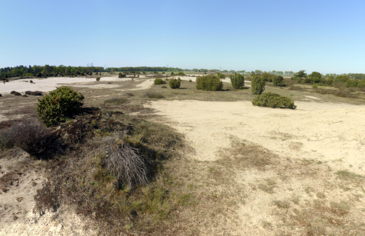 Stuifzand Lemelerberg