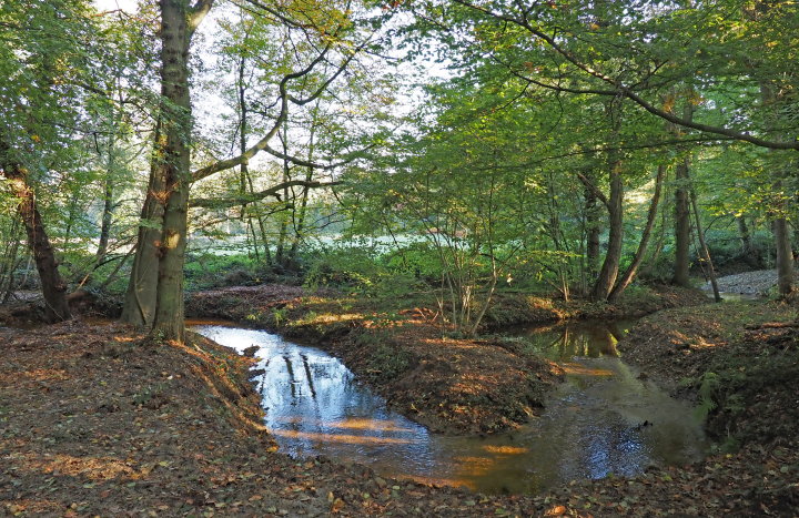 Landgoed 't Holthuis, beek