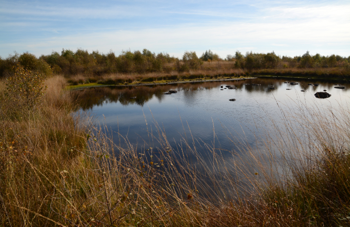 Vriezenveen hoogveen
