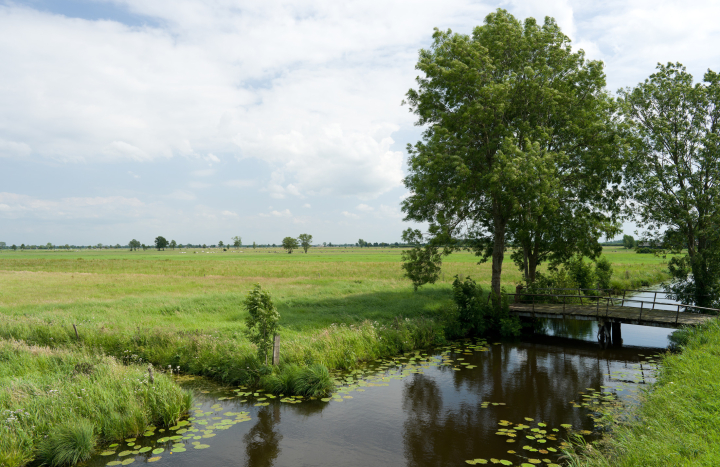 Veerslootslanden bij Rouveen, Studio Pothoff