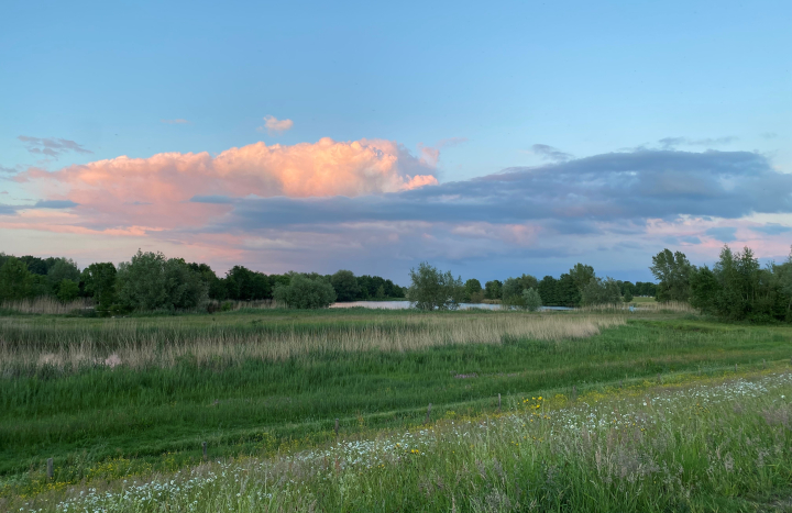 Struinwaard bij Berkum