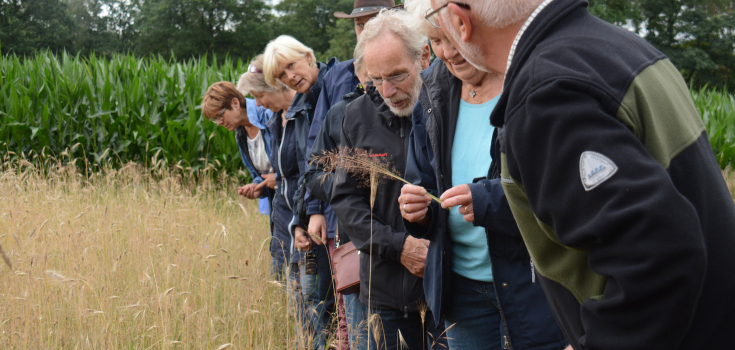Excursie Dal van de Mosbeek