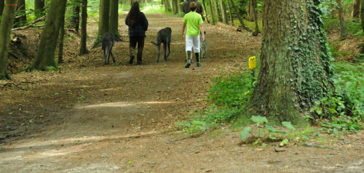 wandelaars Groot Brunink