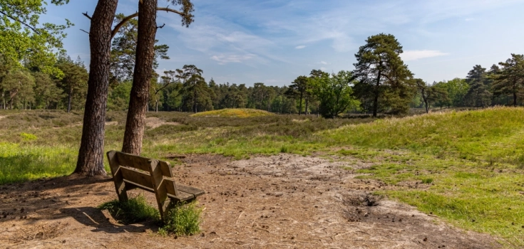 99273-bankje op de heie, Gonny Sleurink
