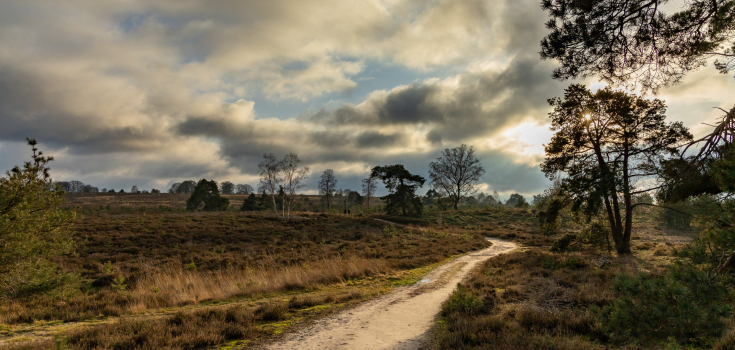 Sallandse heuvelrug, Gonny Sleurink