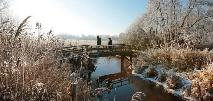 Reestdal, bruggetje van Bartje