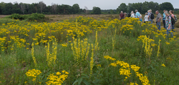 Dal van de Mosbeek, excursie