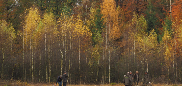 Vliegende Brigade, Nico Kloek