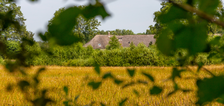 Oud Avereest, doorkijkje 