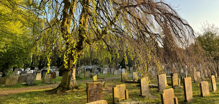 Treurbeuk, Kranenburg