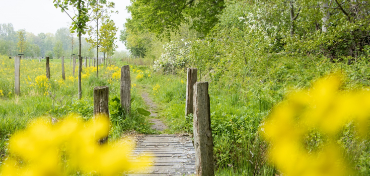 Groene Delta - De Doorbraak