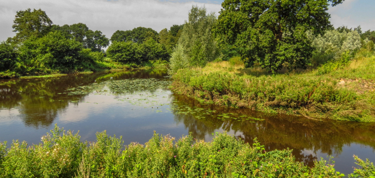 Regge Gonny Sleurink