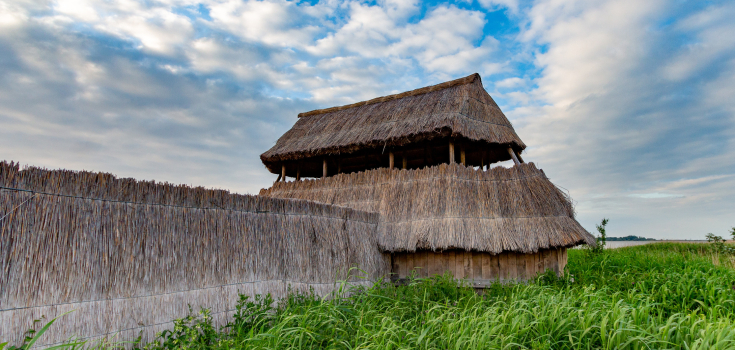 Mandjeswaard, Gonny Sleurink