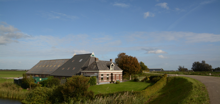Zeekleilandschap Nico Kloek