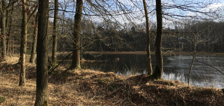 Vloeideide Lonnekermeer