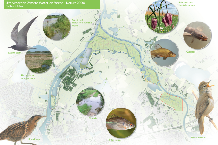 Schetsontwerp Buitenlanden Langenholte - Eindbeeld