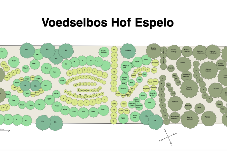 Voedselbos 1e kaart Peter (zonder van Espelo)