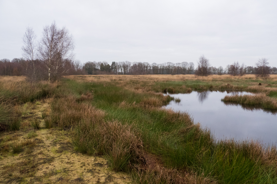 Het foliescherm is boven de grond afgewerkt met een walletje van leem